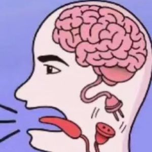 Meet your Posher, Kitty